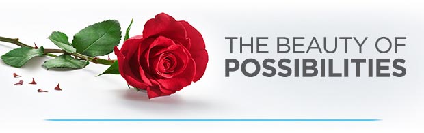 The Beauty Of Possibilities