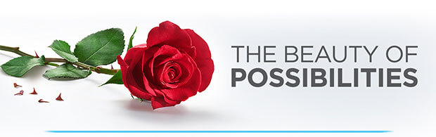 The Beauty Of Possibilities